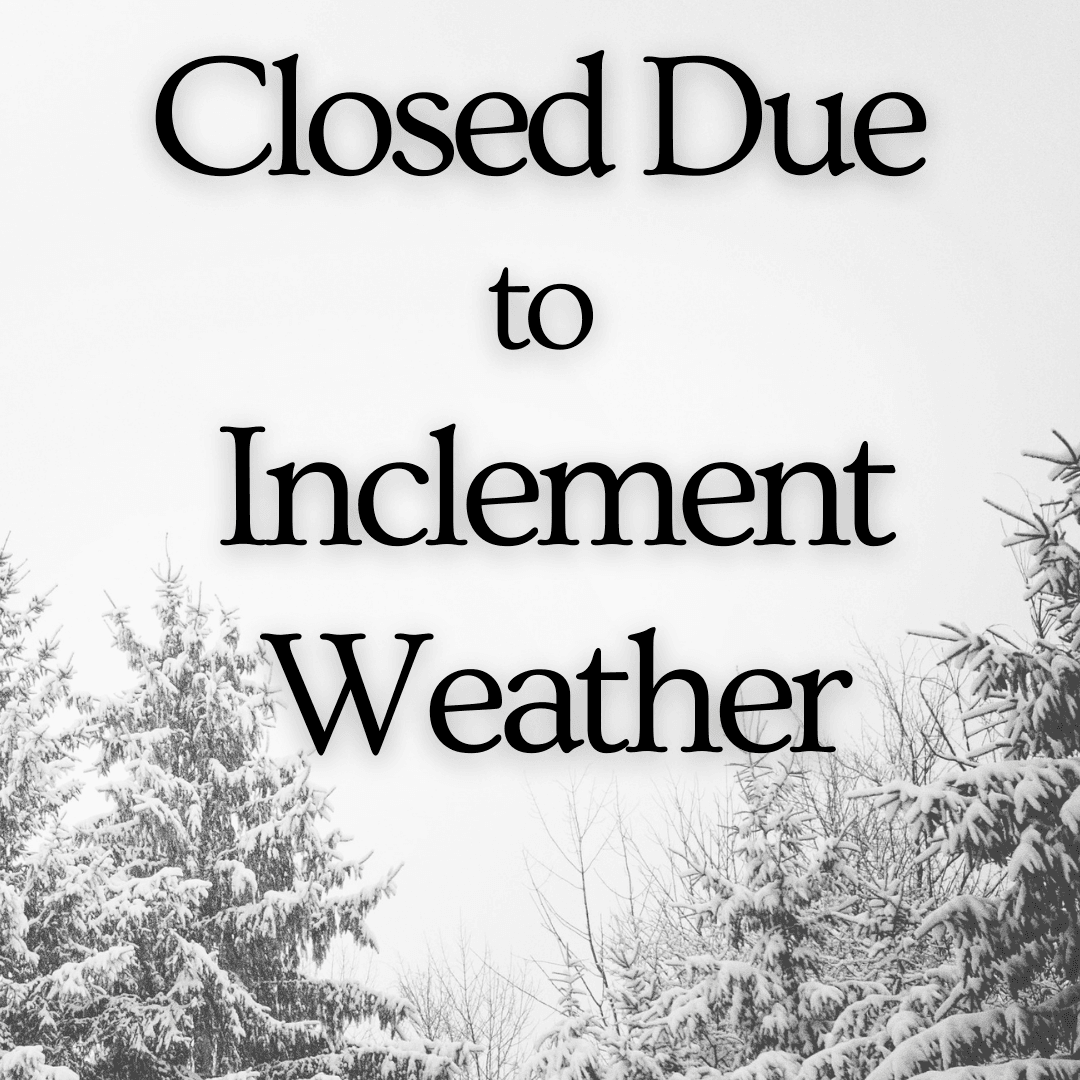 Closed Due to Inclement Weather. Image of snow covered trees