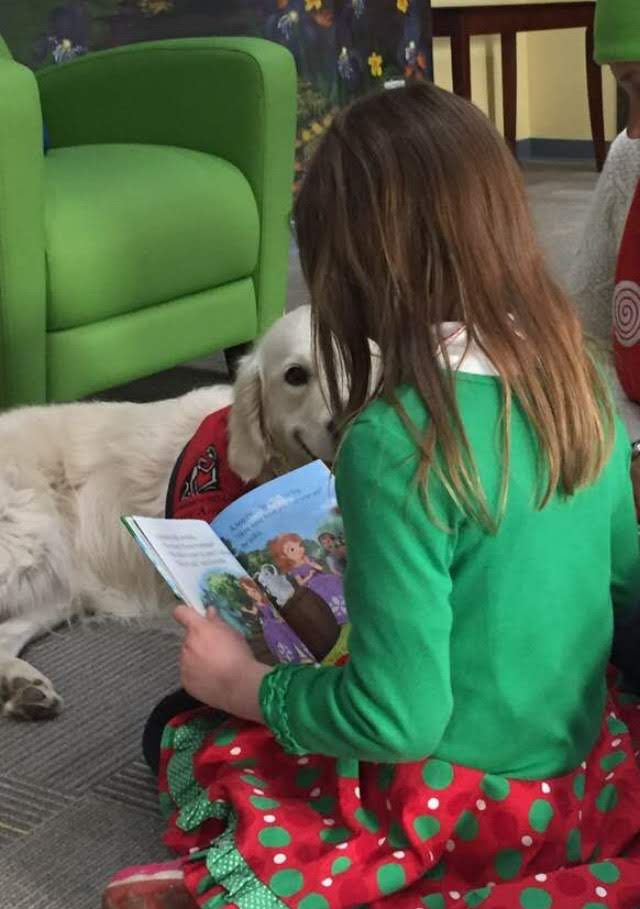 Child reading a book to a golden, Lucy.