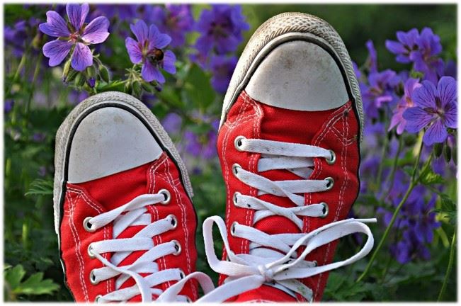 red tennis shoes and flowers