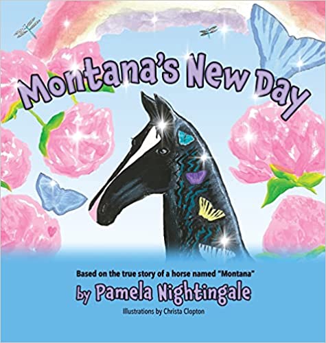 montana new day book cover image
