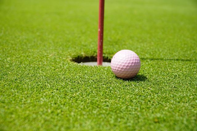 white golf ball and hole