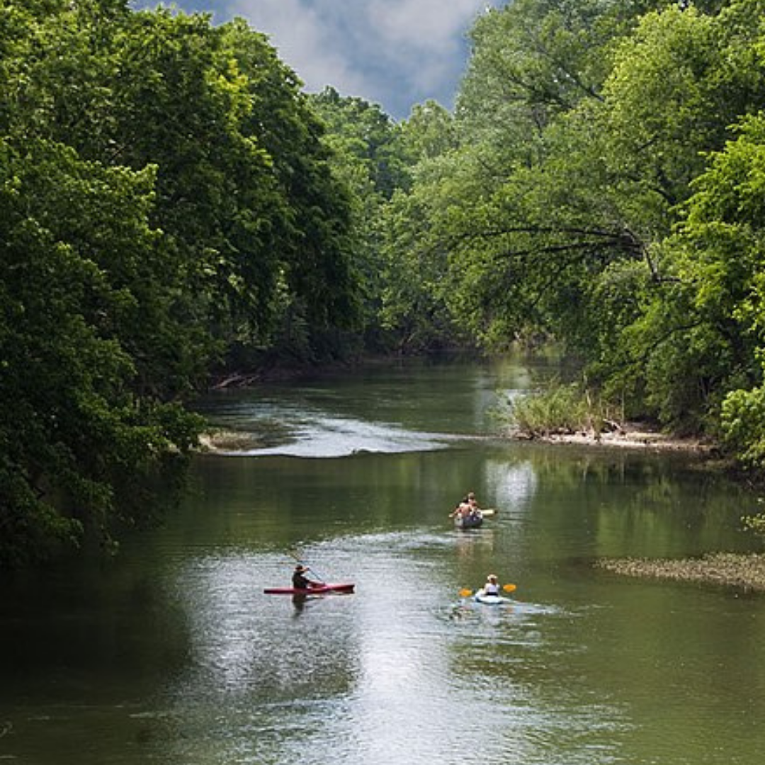 harpeth river in summer with green trees, people in kayaks and canoes on the river
