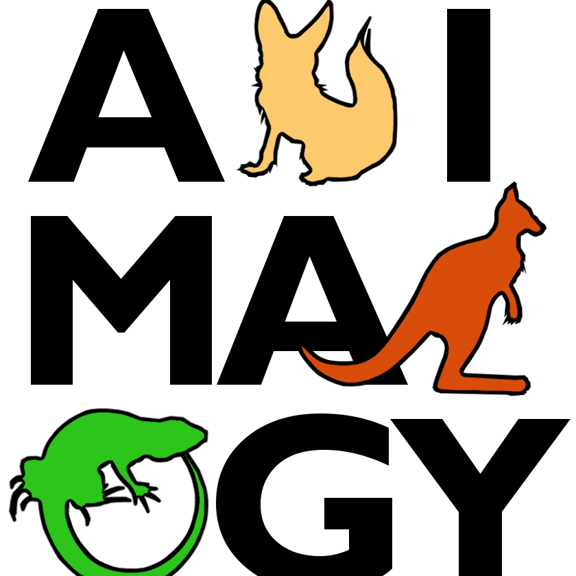 Animalogy text with a fox shape for the N, a kangaroo shape for the L, and a gila monster shape G
