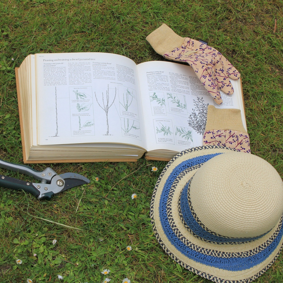 hat, garden clippers, gloves and gardening book open on green lawn