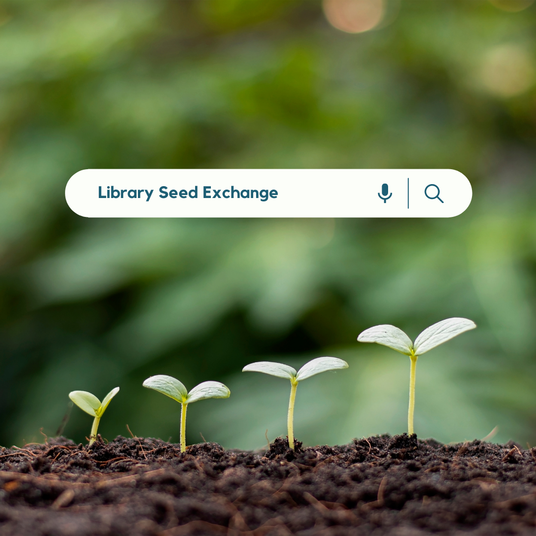 Library Seed Exchange in a search box imposed on a photo of seedlings from small to tall