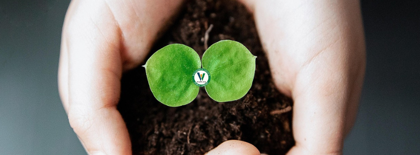 Hands cupping soil and seedling photo, library logo