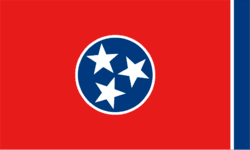 Tennessee Flag with 3 stars
