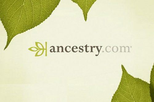 ancestry dot com logo with leaf