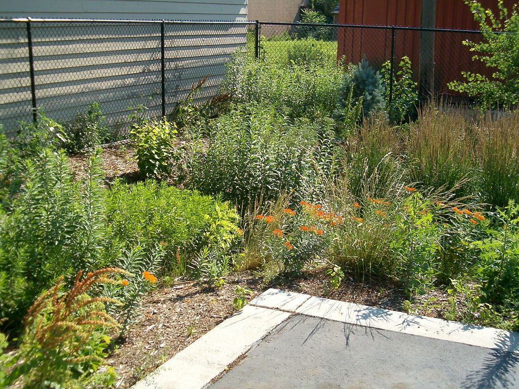 7sigma_RainGarden_66